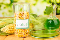 English Bicknor biofuel availability